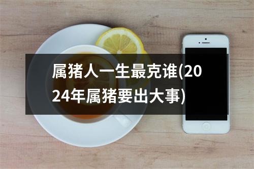 属猪人一生克谁(2024年属猪要出大事)