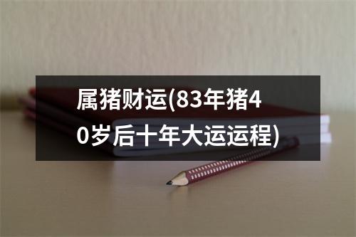 属猪财运(83年猪40岁后十年大运运程)