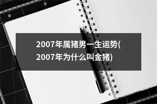 2007年属猪男一生运势(2007年为什么叫金猪)