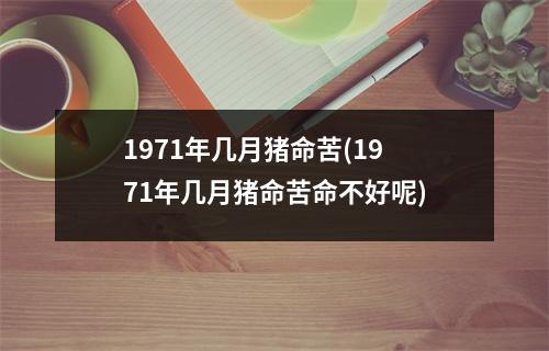 1971年几月猪命苦(1971年几月猪命苦命不好呢)