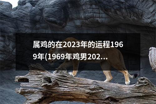 属鸡的在2023年的运程1969年(1969年鸡男2023年运势完整版)