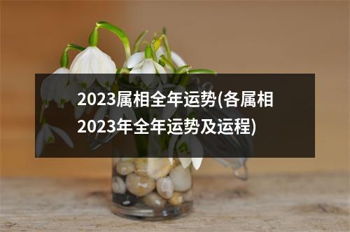 2023属相全年运势(各属相2023年全年运势及运程)