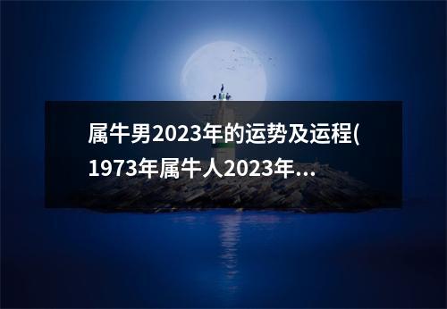 属牛男2023年的运势及运程(1973年属牛人2023年全年运势详解)