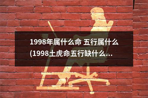 1998年属什么命 五行属什么(1998土虎命五行缺什么)