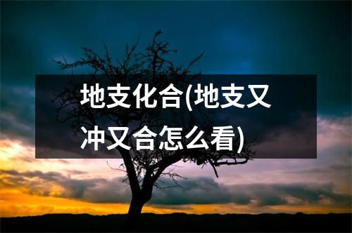 地支化合(地支又冲又合怎么看)