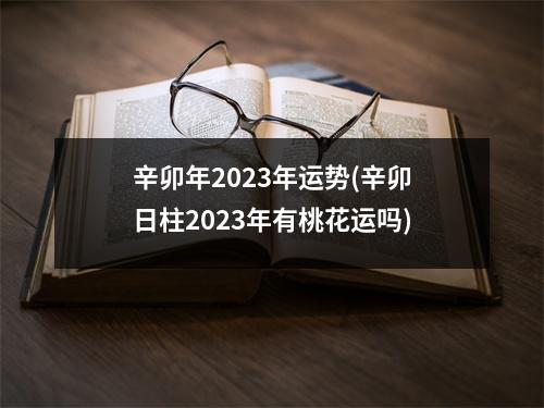 辛卯年2023年运势(辛卯日柱2023年有桃花运吗)