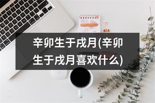 辛卯生于戌月(辛卯生于戌月喜欢什么)