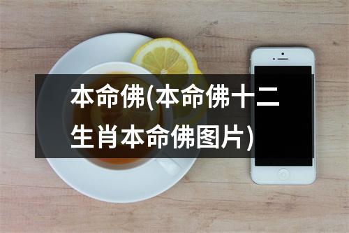 本命佛(本命佛十二生肖本命佛图片)