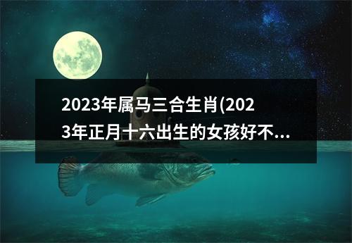 2023年属马三合生肖(2023年正月十六出生的女孩好不好)