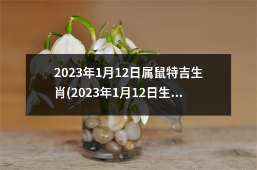 2023年1月12日属鼠特吉生肖(2023年1月12日生肖小播报)