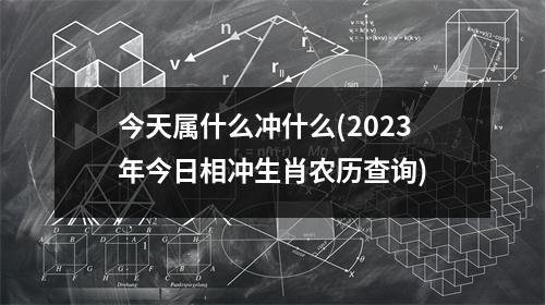 今天属什么冲什么(2023年今日相冲生肖农历查询)