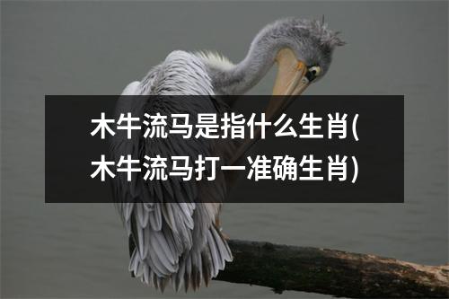 木牛流马是指什么生肖(木牛流马打一准确生肖)