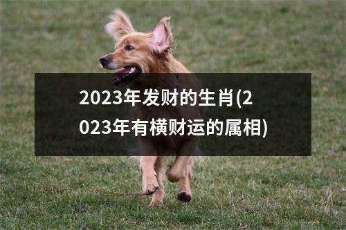 2023年发财的生肖(2023年有横财运的属相)