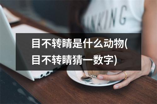 目不转睛是什么动物(目不转睛猜一数字)