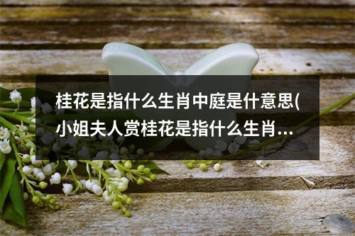 桂花是指什么生肖中庭是什意思(小姐夫人赏桂花是指什么生肖)