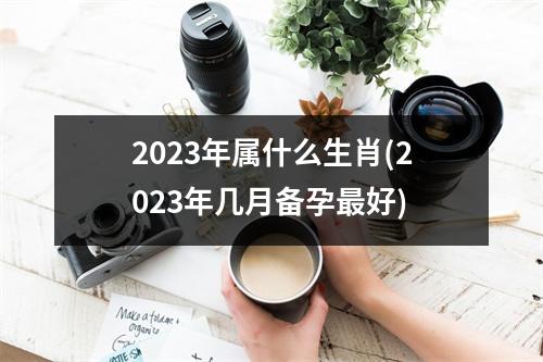 2023年属什么生肖(2023年几月备孕好)