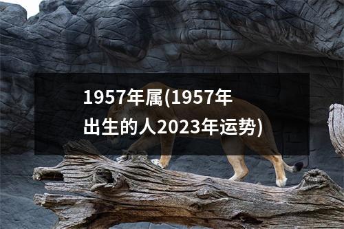 1957年属(1957年出生的人2023年运势)