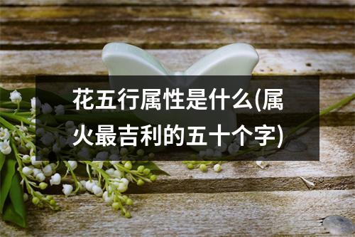 花五行属性是什么(属火吉利的五十个字)