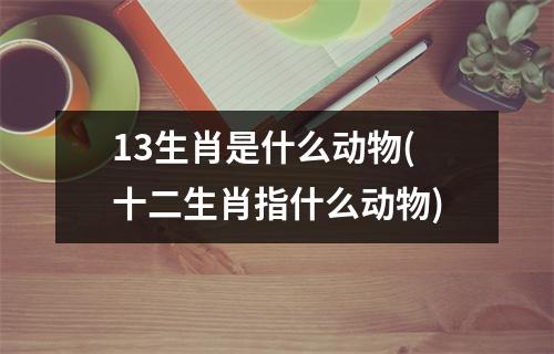 13生肖是什么动物(十二生肖指什么动物)