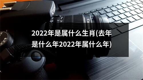 2022年是属什么生肖(去年是什么年2022年属什么年)