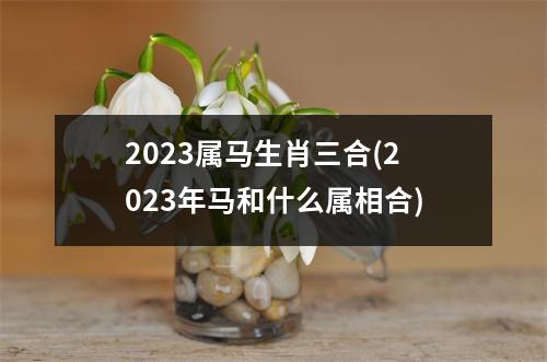 2023属马生肖三合(2023年马和什么属相合)