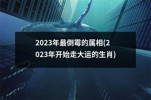 2023年倒霉的属相(2023年开始走大运的生肖)