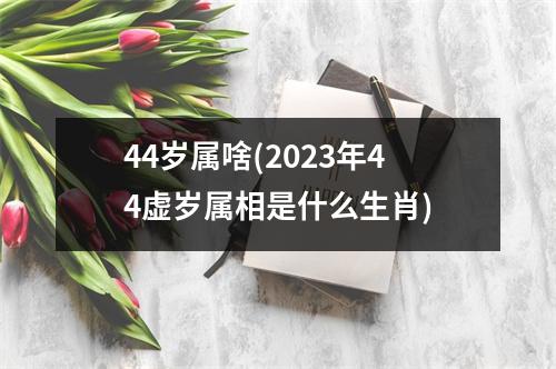 44岁属啥(2023年44虚岁属相是什么生肖)