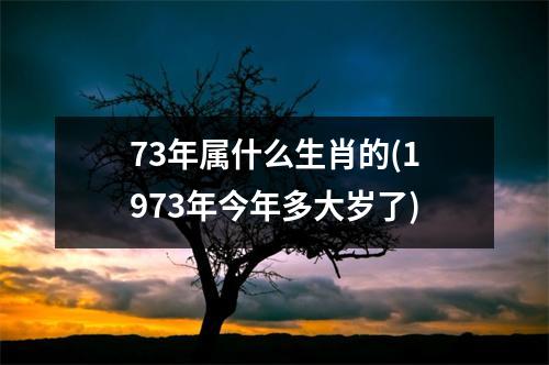 73年属什么生肖的(1973年今年多大岁了)