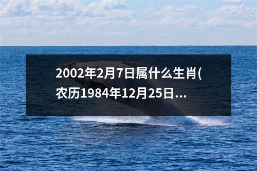 2002年2月7日属什么生肖(农历1984年12月25日是什么属相)