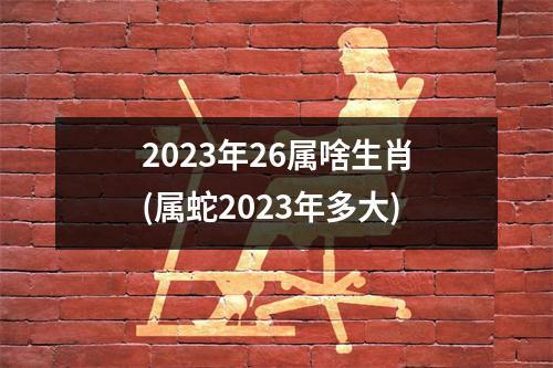 2023年26属啥生肖(属蛇2023年多大)