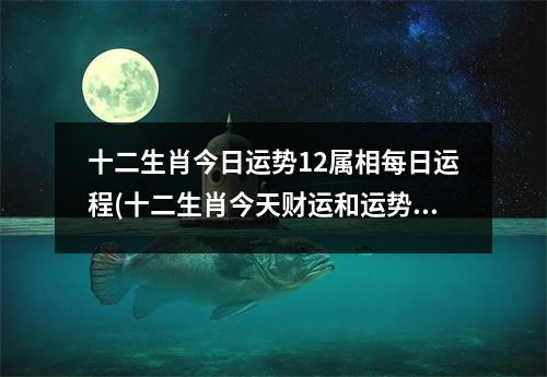 十二生肖今日运势12属相每日运程(十二生肖今天财运和运势如何查)