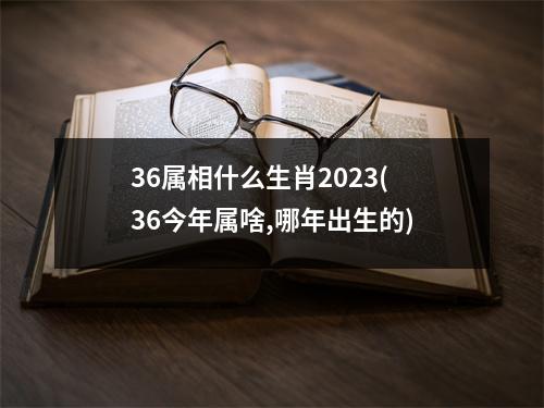 36属相什么生肖2023(36今年属啥,哪年出生的)