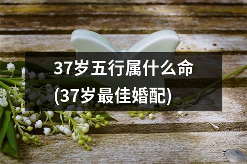 37岁五行属什么命(37岁佳婚配)