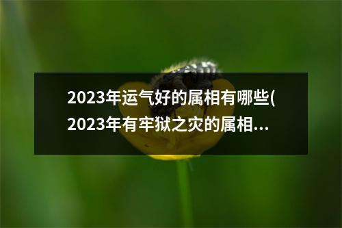 2023年运气好的属相有哪些(2023年有牢狱之灾的属相)