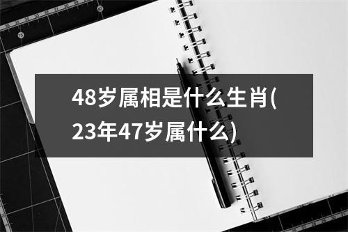 48岁属相是什么生肖(23年47岁属什么)