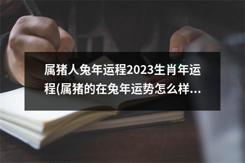 属猪人兔年运程2023生肖年运程(属猪的在兔年运势怎么样)