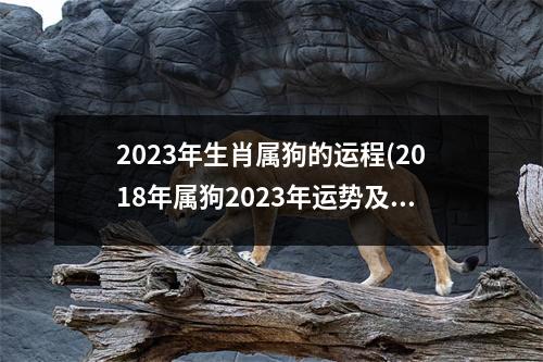 2023年生肖属狗的运程(2018年属狗2023年运势及运程)