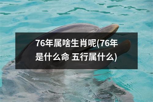 76年属啥生肖呢(76年是什么命 五行属什么)