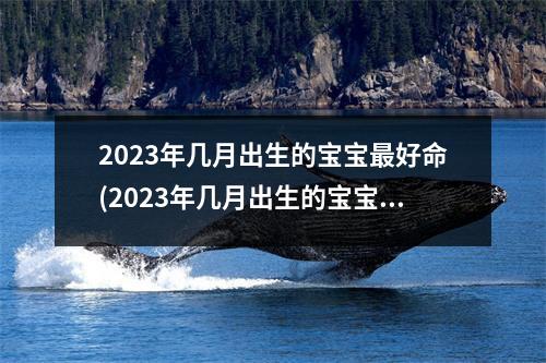 2023年几月出生的宝宝好命(2023年几月出生的宝宝好命 张鑫龙)