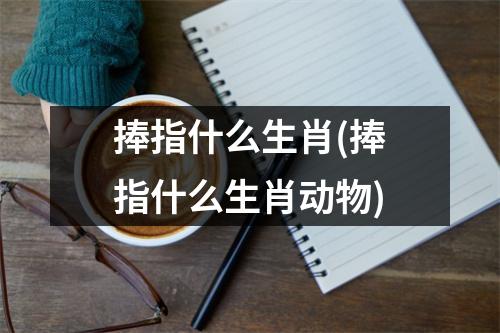 捧指什么生肖(捧指什么生肖动物)