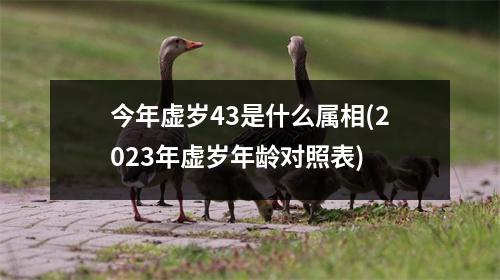 今年虚岁43是什么属相(2023年虚岁年龄对照表)