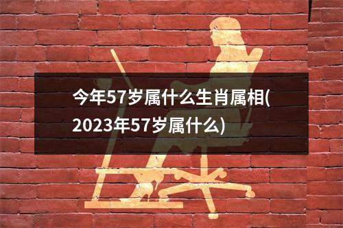 今年57岁属什么生肖属相(2023年57岁属什么)