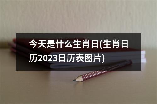 今天是什么生肖日(生肖日历2023日历表图片)