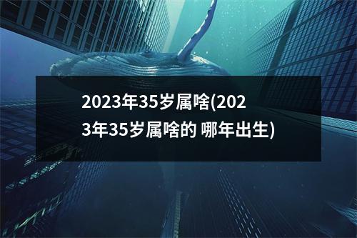 2023年35岁属啥(2023年35岁属啥的 哪年出生)