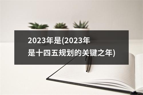 2023年是(2023年是十四五规划的关键之年)