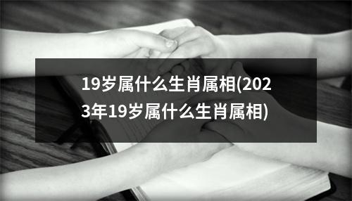 19岁属什么生肖属相(2023年19岁属什么生肖属相)