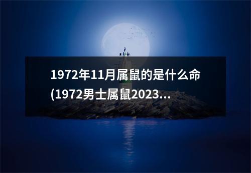 1972年11月属鼠的是什么命(1972男士属鼠2023年整体财运)