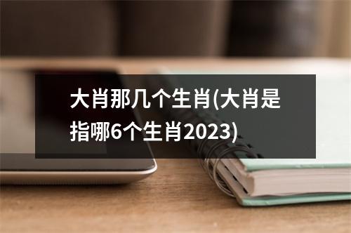 大肖那几个生肖(大肖是指哪6个生肖2023)