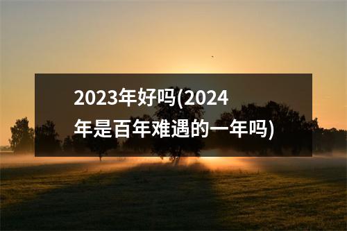 2023年好吗(2024年是百年难遇的一年吗)