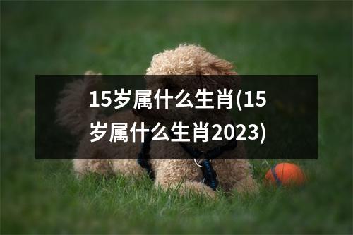 15岁属什么生肖(15岁属什么生肖2023)